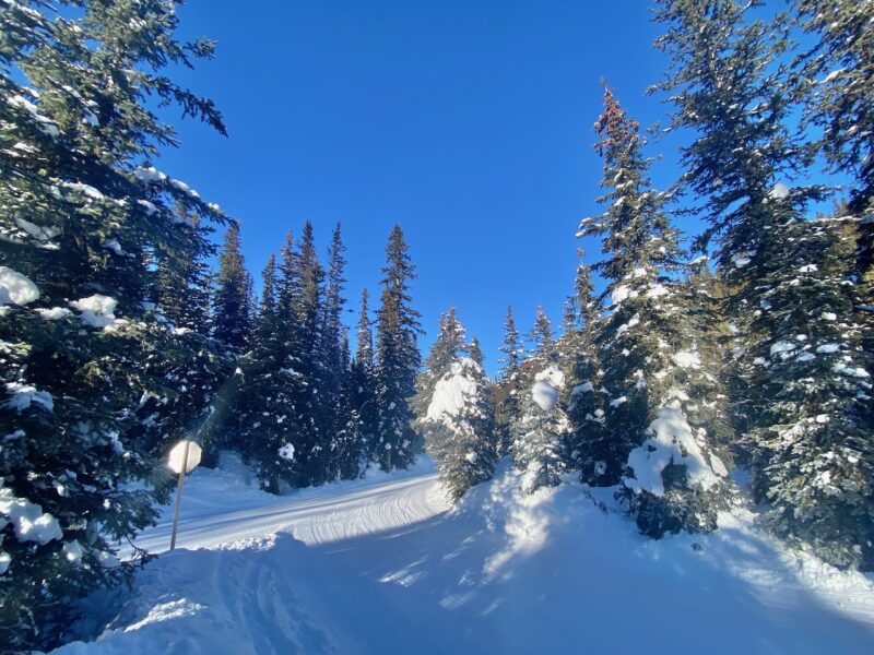 Delirium Dive, Sunshine Village, Canada. Image © PlanetSKI